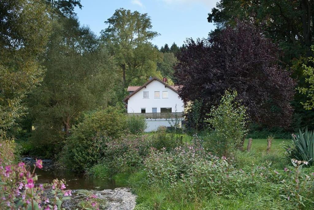 Wald-Apartment Limabach - Oberfrohna Εξωτερικό φωτογραφία