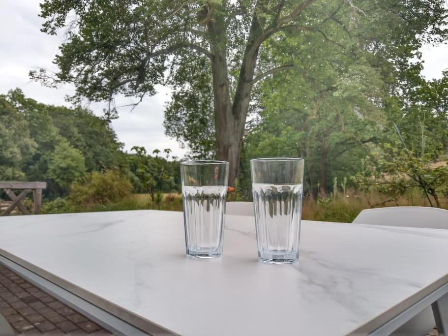 Wald-Apartment Limabach - Oberfrohna Εξωτερικό φωτογραφία