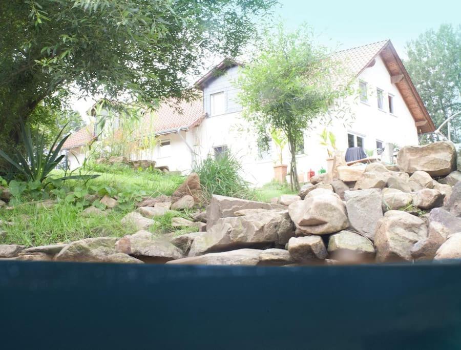 Wald-Apartment Limabach - Oberfrohna Εξωτερικό φωτογραφία