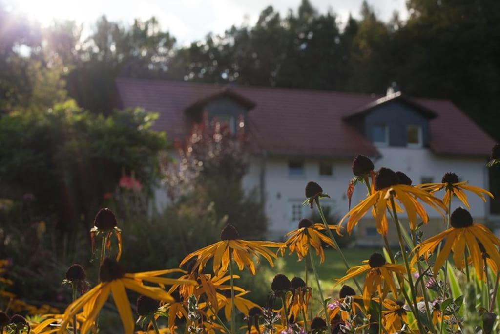 Wald-Apartment Limabach - Oberfrohna Εξωτερικό φωτογραφία