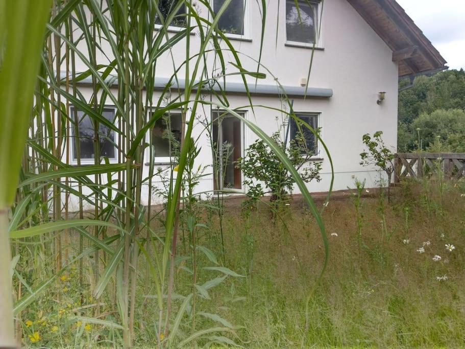 Wald-Apartment Limabach - Oberfrohna Εξωτερικό φωτογραφία