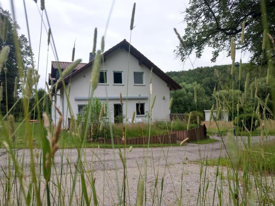 Wald-Apartment Limabach - Oberfrohna Εξωτερικό φωτογραφία