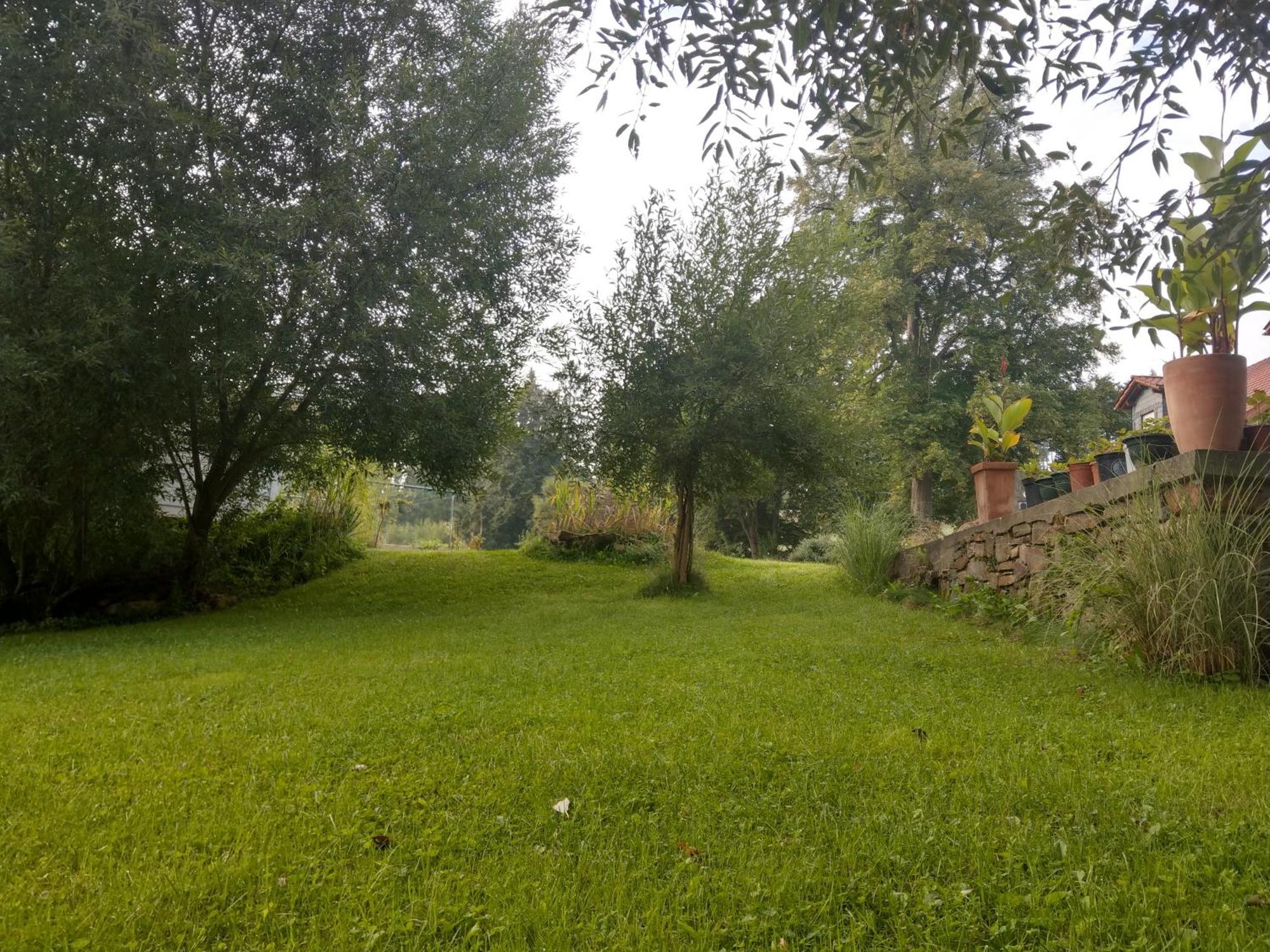 Wald-Apartment Limabach - Oberfrohna Εξωτερικό φωτογραφία